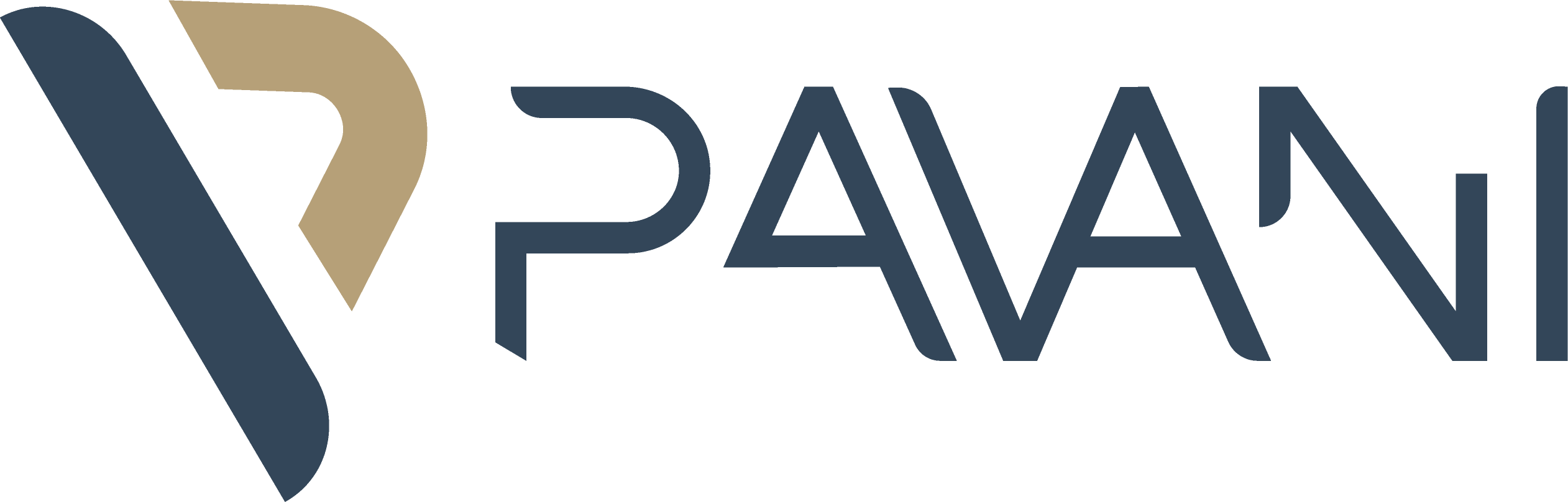 Pavani Consultoria